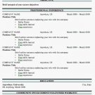 Basic Resume