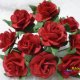MULBERRY PAPER FLOWER