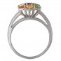 3.5mm Rainbow Sapphire Flower Cluster 14K White Gold (1.5ct tw) SKU: 1819-14K-WG