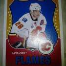 2010-11 O-Pee-Chee Retro Robyn Regehr card #94