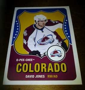 2010-11 O-Pee-Chee Retro David Jones card no. 231