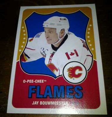 2010-11 O-Pee-Chee Retro Jay Bouwmeester card no. 228