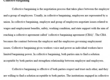MGMT348 Industrial Labor Relations Unit 4 IP