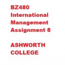 BZ480 International Management Assignment 8