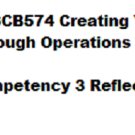 OPSCB574 Competency 3 Reflection