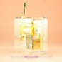 Transparent Gold-Plate Boutique Hand Crank Music Box ãCanonãNew
