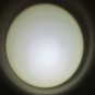 CREE Q5 WC LED 260 Lumens Torch Flashlight Lamp 3 Modes