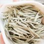 9OZ Premium Bai Hao Yin Zhen * Silver Needle White Tea 250g Chinese White Tea