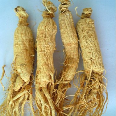 100g Korean Bulk White Ginseng root China's northeast Changbai Mountain 3.5 OZ