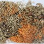 1.1lbs gold tea Hong-Xue tea Nanji heart Tibet high mountain snow red tea 500g