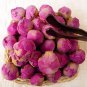 Common Peony,Flower Tea Chinese Traditional Medicine 100 grams