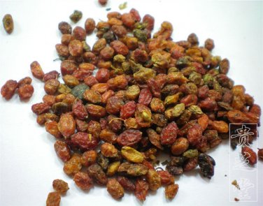 Orange Seabuckthorn Berry Fruit seeds *High Vitamin C