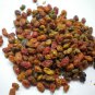 Orange Seabuckthorn Berry Fruit seeds *High Vitamin C