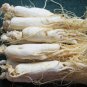 Best Chinese Panax White Ginseng Roots 500g/1.1LB  free shipping