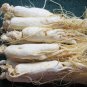 500g/1.1LB Best Chinese Panax White Ginseng Roots ChangBaiShan White Ginseng