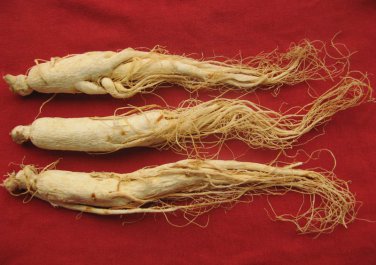 500g, Best CHINA Changbai Korean Ginseng ROOT,tea,Food