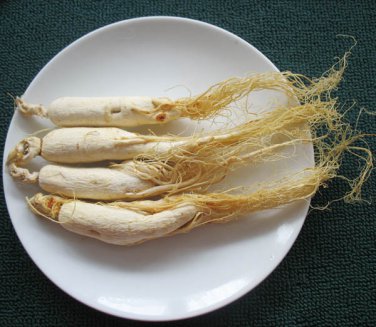 Chinese Chang Bai Shan Ginseng Root Panax,healthy 1KG