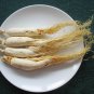 Chinese Chang Bai Shan Ginseng Root Panax,healthy 1KG