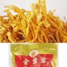 North Cordyceps/nourish kidney/moisten lung 250g chinese herbal 9 OZ
