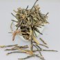 premium Imperial Wild-growing Hainan Kuding tea,black bitter stalk tea Grade: A