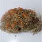Hong Xue Cha,China Tibet high mountain snow red tea Herbal Tea free shipping