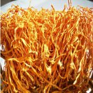 9OZ North Cordyceps/nourish kidney/moisten lung 250g Chinese Herbs Health Care