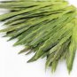 Chinese Tai Ping Hou Kui,Monkey King,TaiPing HouKui Green Tea 250g