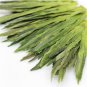 Chinese Tai Ping Hou Kui,Monkey King,TaiPing HouKui Green Tea 250g