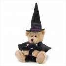 Bewitched Bear Plush