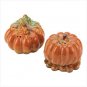 Pumpkin Salt And Pepper Set