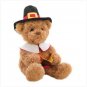 Gund Storytime Pilgrim Bear Plush