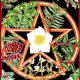 Yule (Winter Solstice)