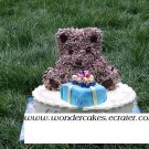 Teddy Bear