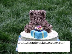 Teddy Bear