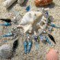 Whimsical Ocean Treasures
