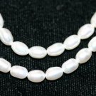 WHITE FRESHWATER PEARL BEADS -16 INCH STRAND
