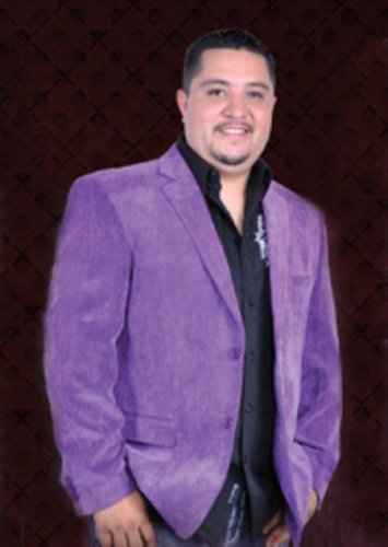 Mens Cotton/Rayon 2 Button Sport Coat Notch Lapel Side Vents Purple