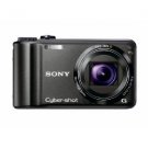 Sony DSC-H55 with 10X Optical Zoom Silver