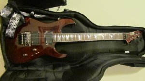 electric guitar