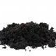 Organic or Traditional Soil