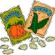 GMO free seeds
