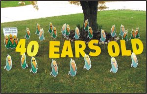 Ears Old Yard Greeting
