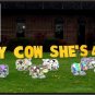 Cows Gone Wild Happy Birthday Yard Greeting
