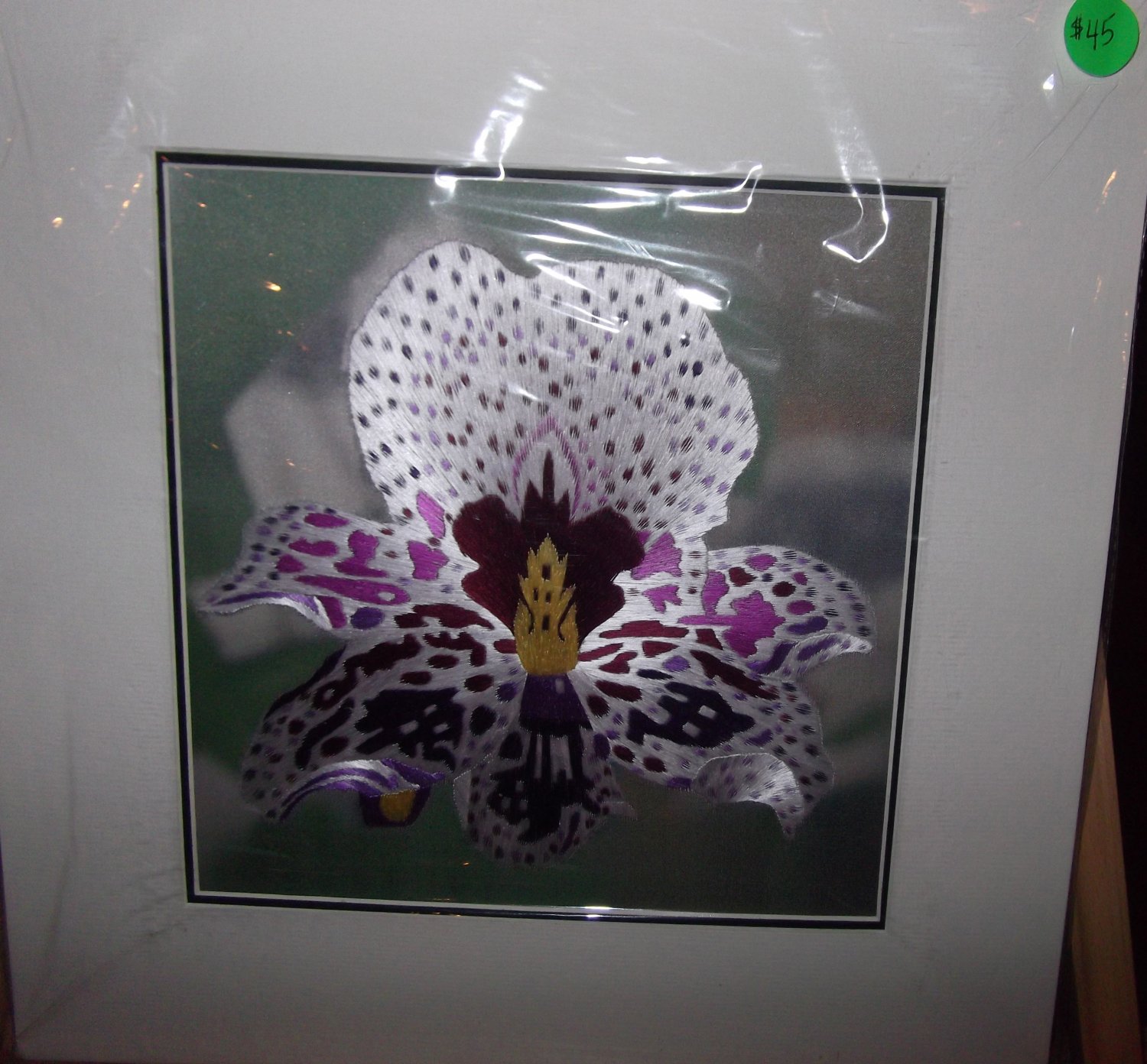 Orchid Flower