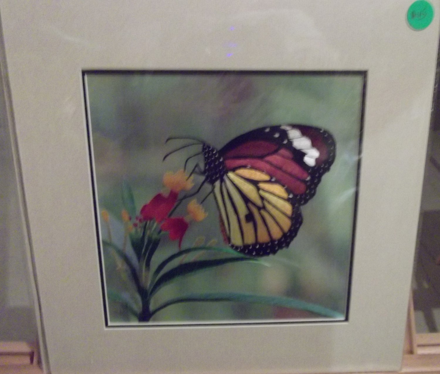 A butterfly near a few flowers