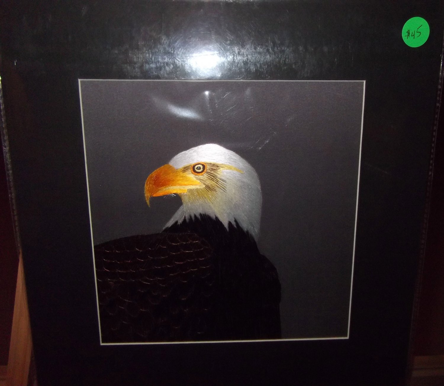 The Bald Eagle