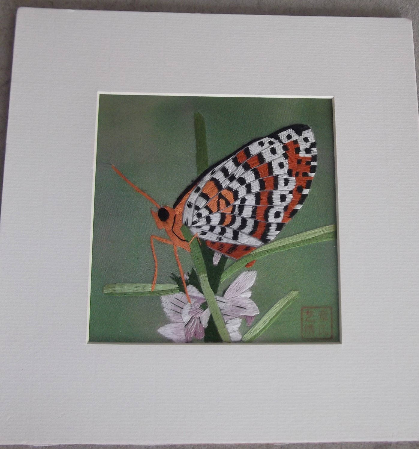 No frame Butterfly