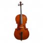 Rugeri MC200 4/4 Size Cello with Carrying Bag