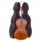 Rugeri MC250 1/4 Size Cello with Hard Case