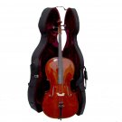 Rugeri MC550 1/4 Size Oil Varnished Flamed Orchestra Cello